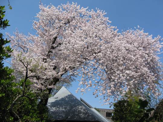 建物と環境